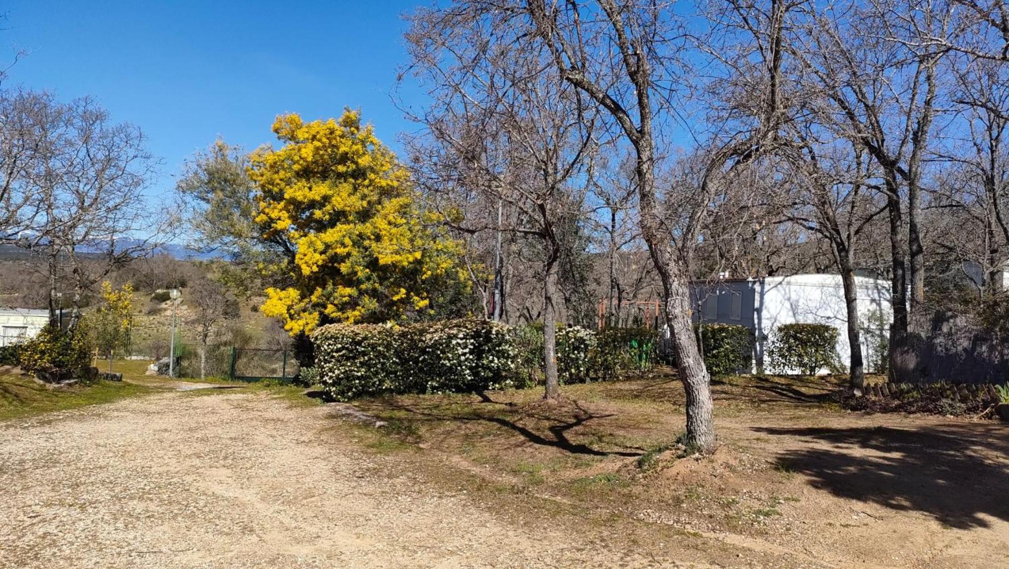 Camping De Cervera De Buitrago Esterno foto