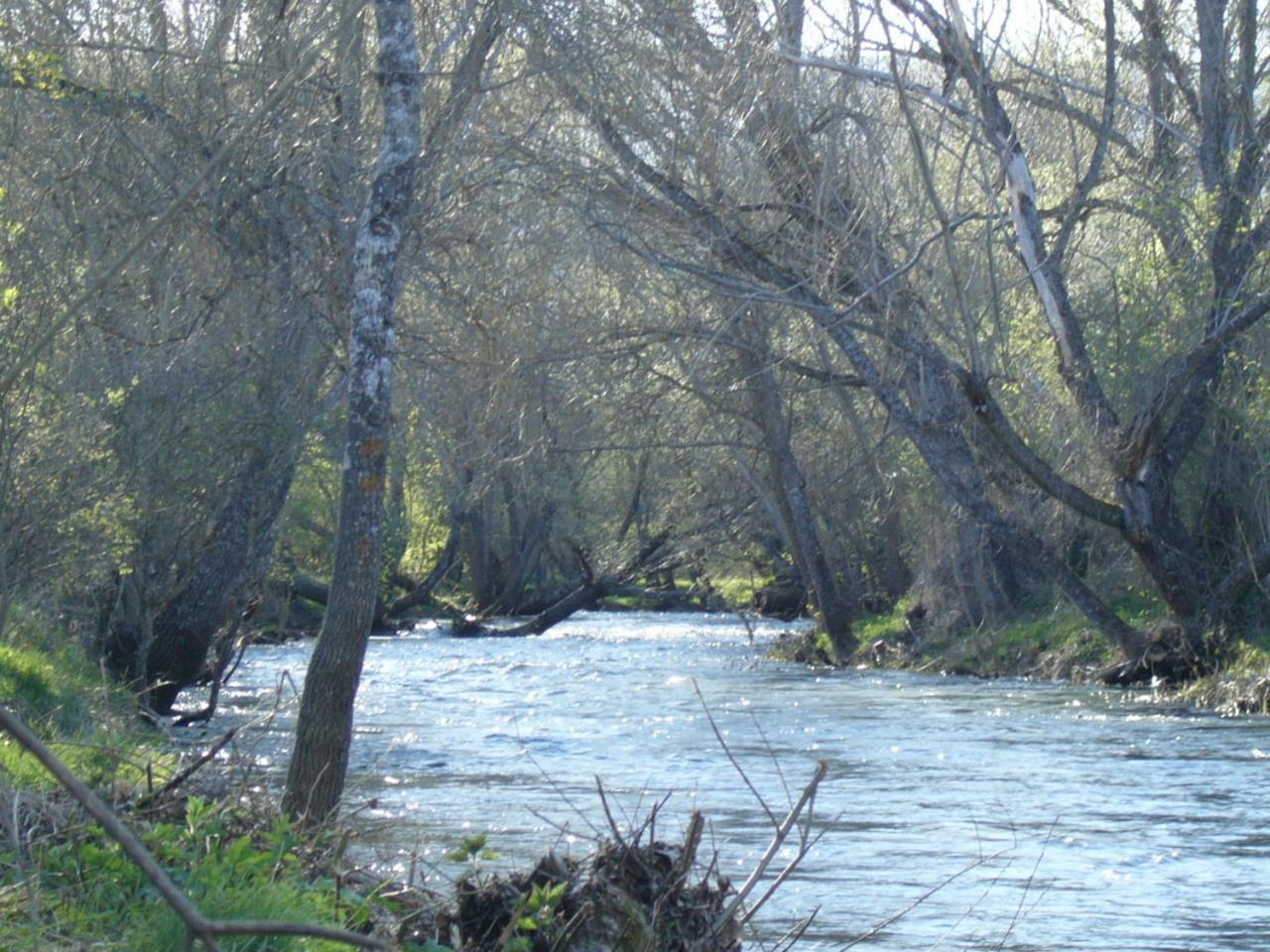 Camping De Cervera De Buitrago Esterno foto