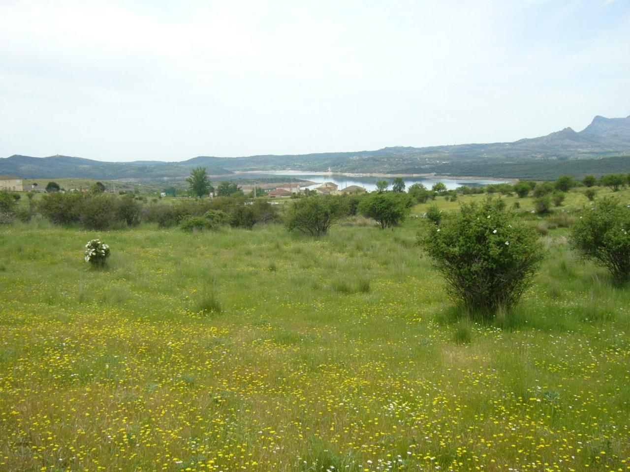 Camping De Cervera De Buitrago Esterno foto